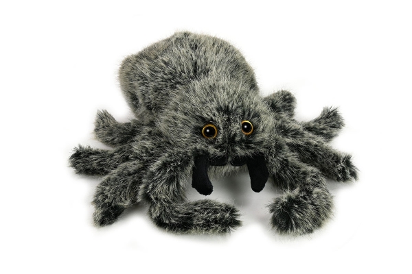 Tarantel, große schwarze Spinne